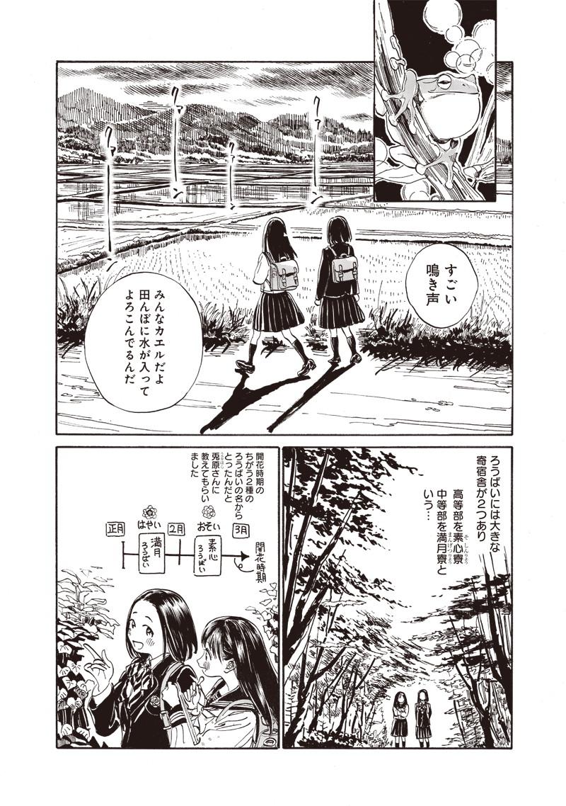 明日ちゃんのセーラー服 Chap 11 - Next Chap 12