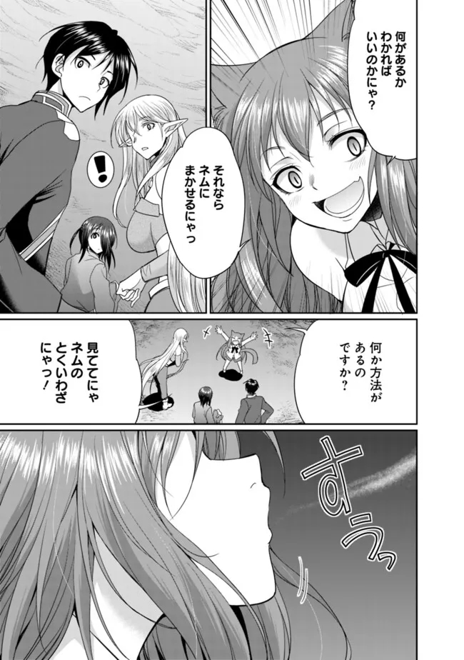 エルフ奴隷と築くダンジョンハーレム―異世界で寝取って仲間を増やします― Chap 16.1 - Next Chap 17.1