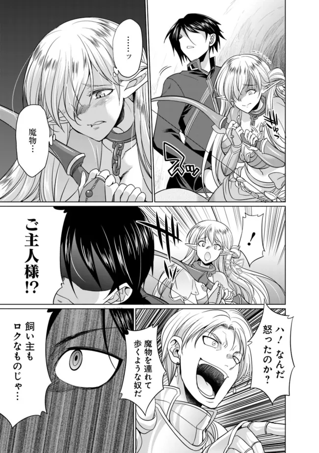 エルフ奴隷と築くダンジョンハーレム―異世界で寝取って仲間を増やします― Chap 1.3 - Next Chap 2.3