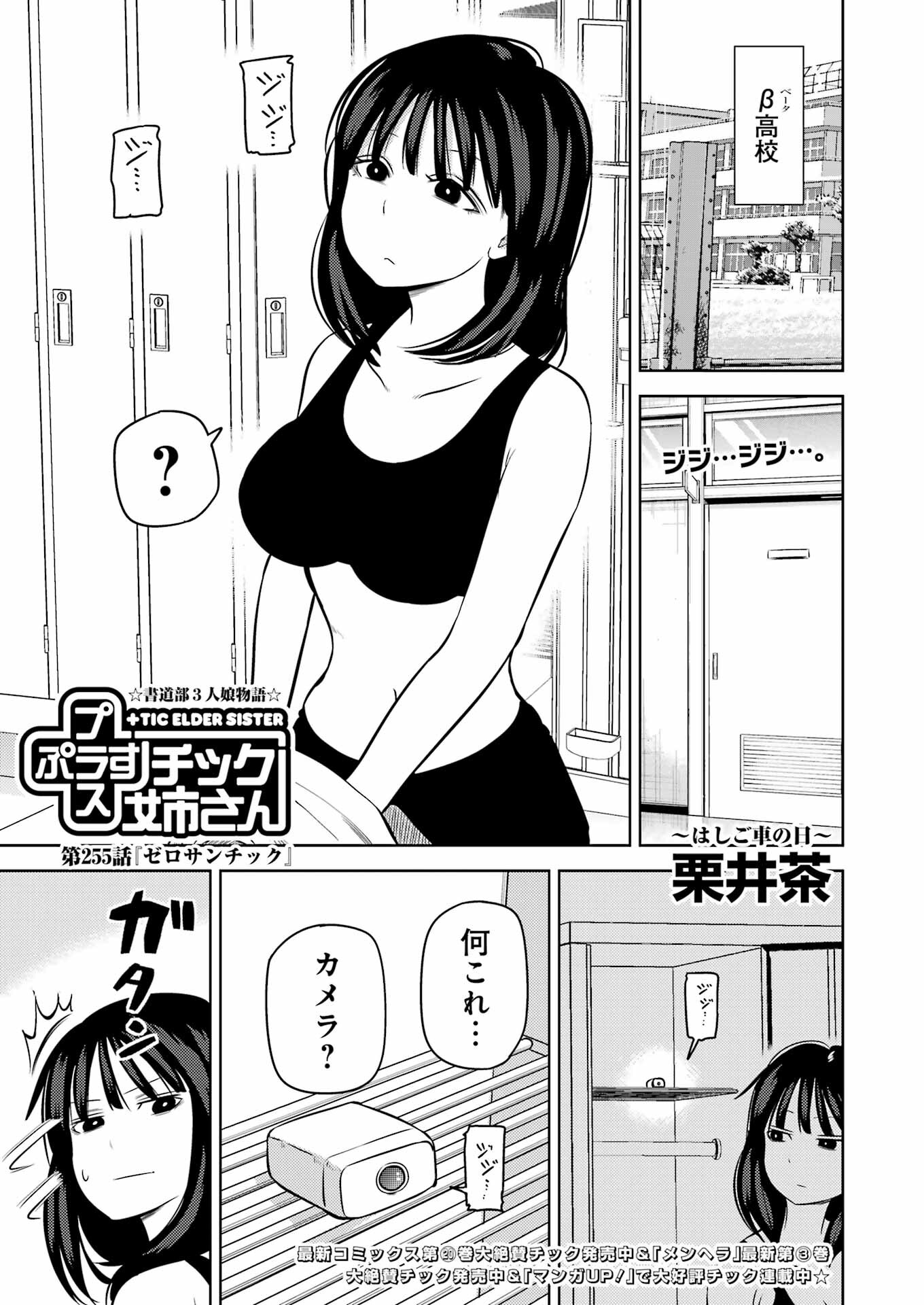 Plastic Nee-san Chap 255 - Next Chap 256