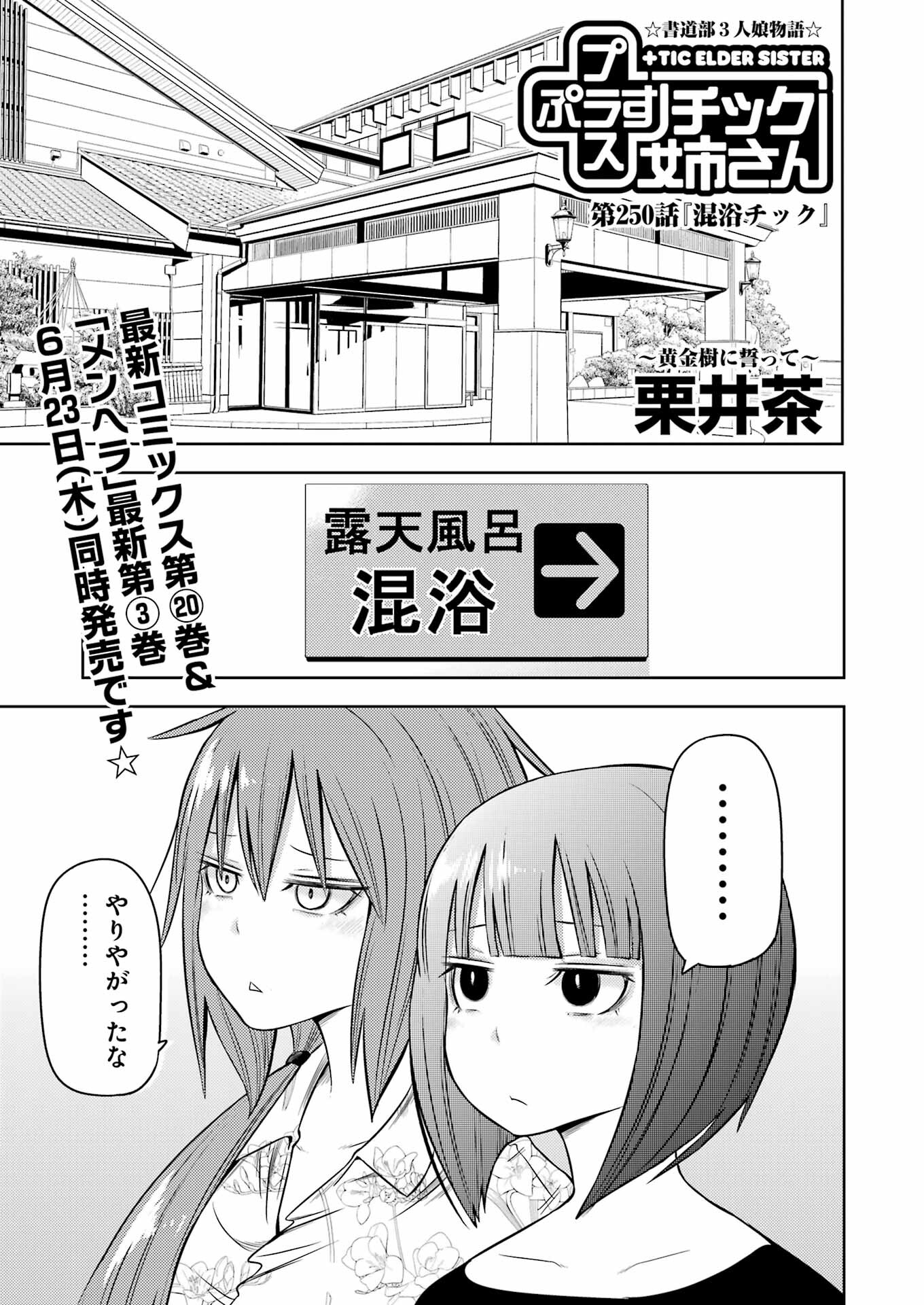 Plastic Nee-san Chap 250 - Next Chap 251