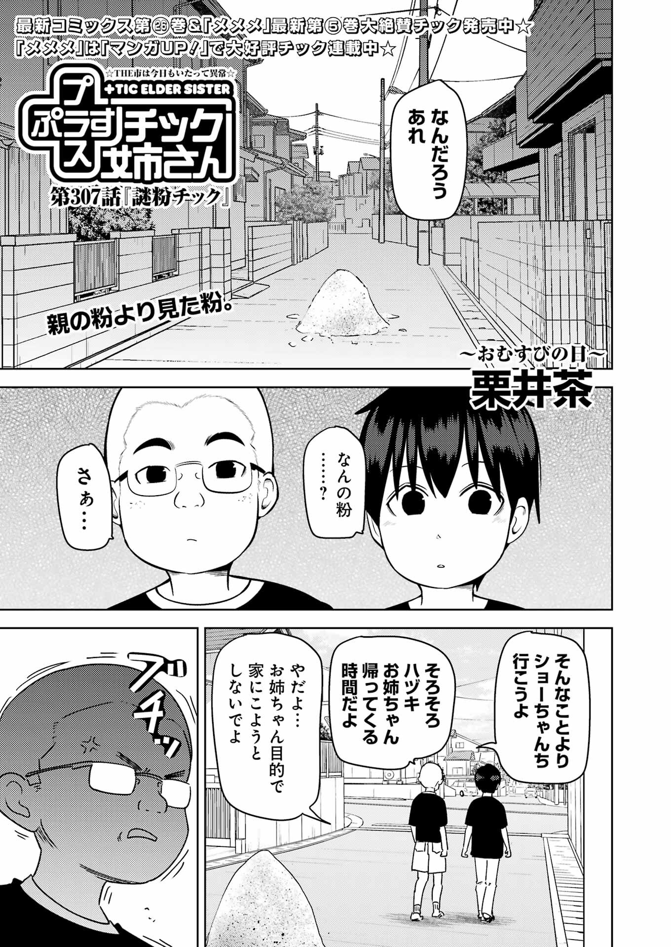 Plastic Nee-san Chap 307 - Next Chap 308