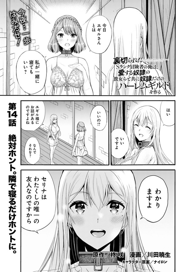 Uragirareta S-Rank Boukensha no Ore wa, Ai suru Dorei no Kanojora to Tomo ni Dorei dake no Harem Guild wo Tsukuru Chap 14 - Next Chap 15