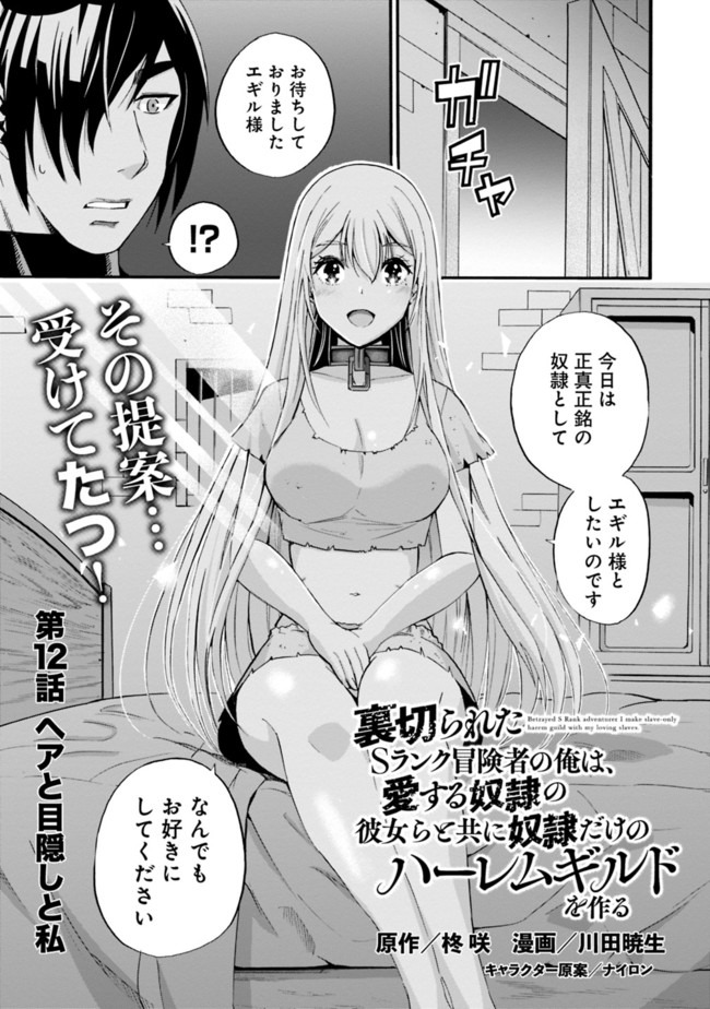 Uragirareta S-Rank Boukensha no Ore wa, Ai suru Dorei no Kanojora to Tomo ni Dorei dake no Harem Guild wo Tsukuru Chap 12 - Next Chap 13