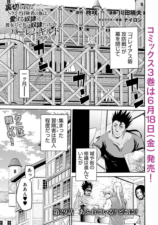 Uragirareta S-Rank Boukensha no Ore wa, Ai suru Dorei no Kanojora to Tomo ni Dorei dake no Harem Guild wo Tsukuru Chap 29 - Next Chap 30