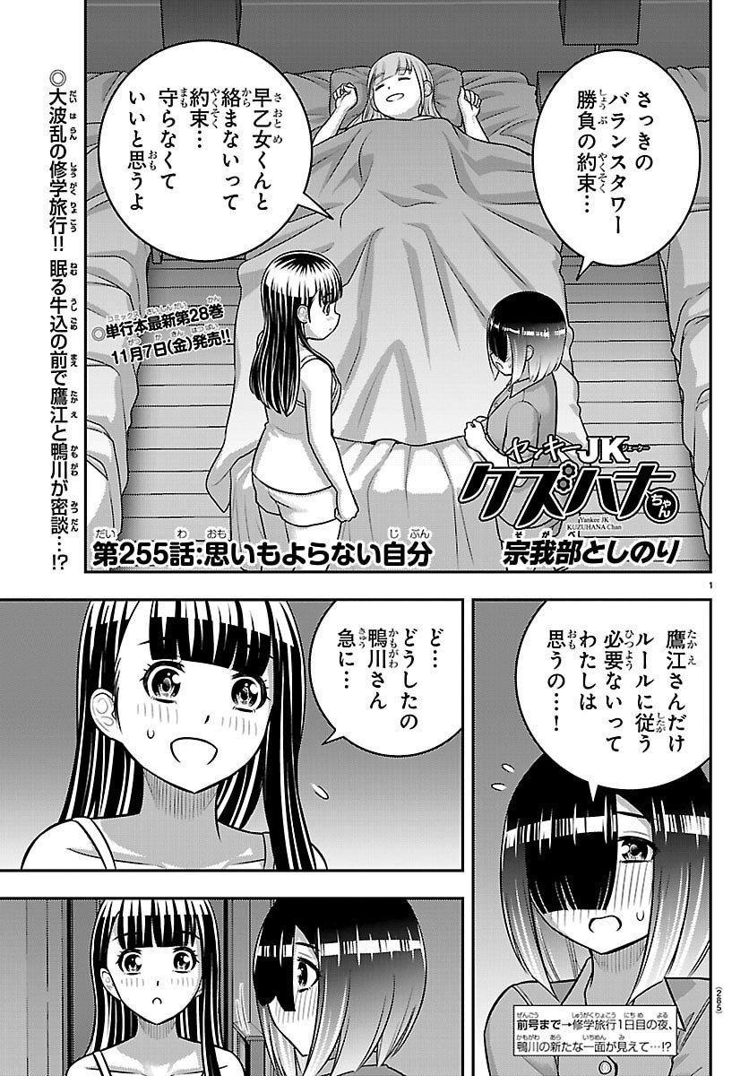 ヤンキーJKクズハナちゃん Chap 255 - Next Chap 256