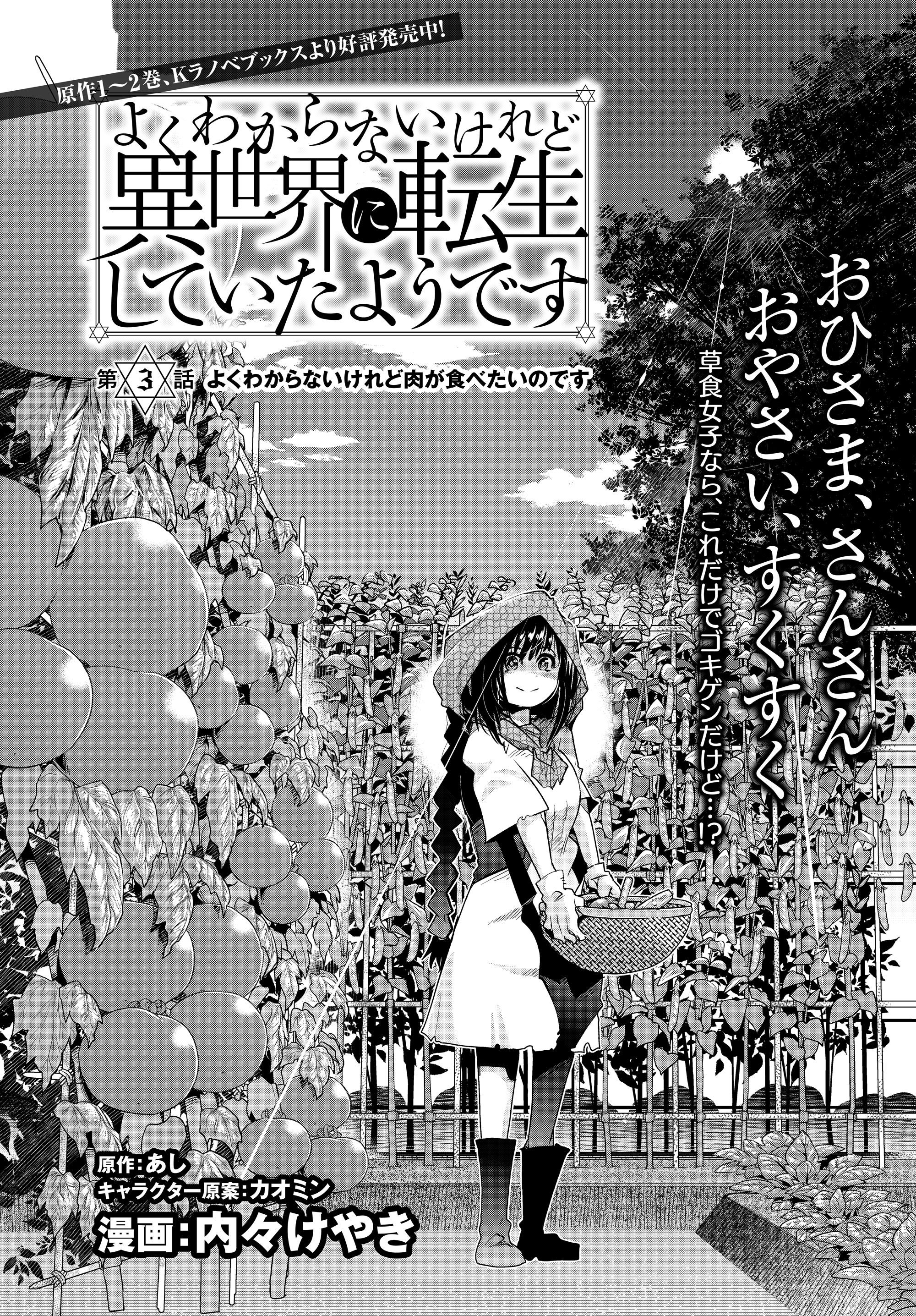 よくわからないけれど異世界に転生していたようです, 稀里糊涂异世重生 Chap 3.1 - Next Chap 4.1