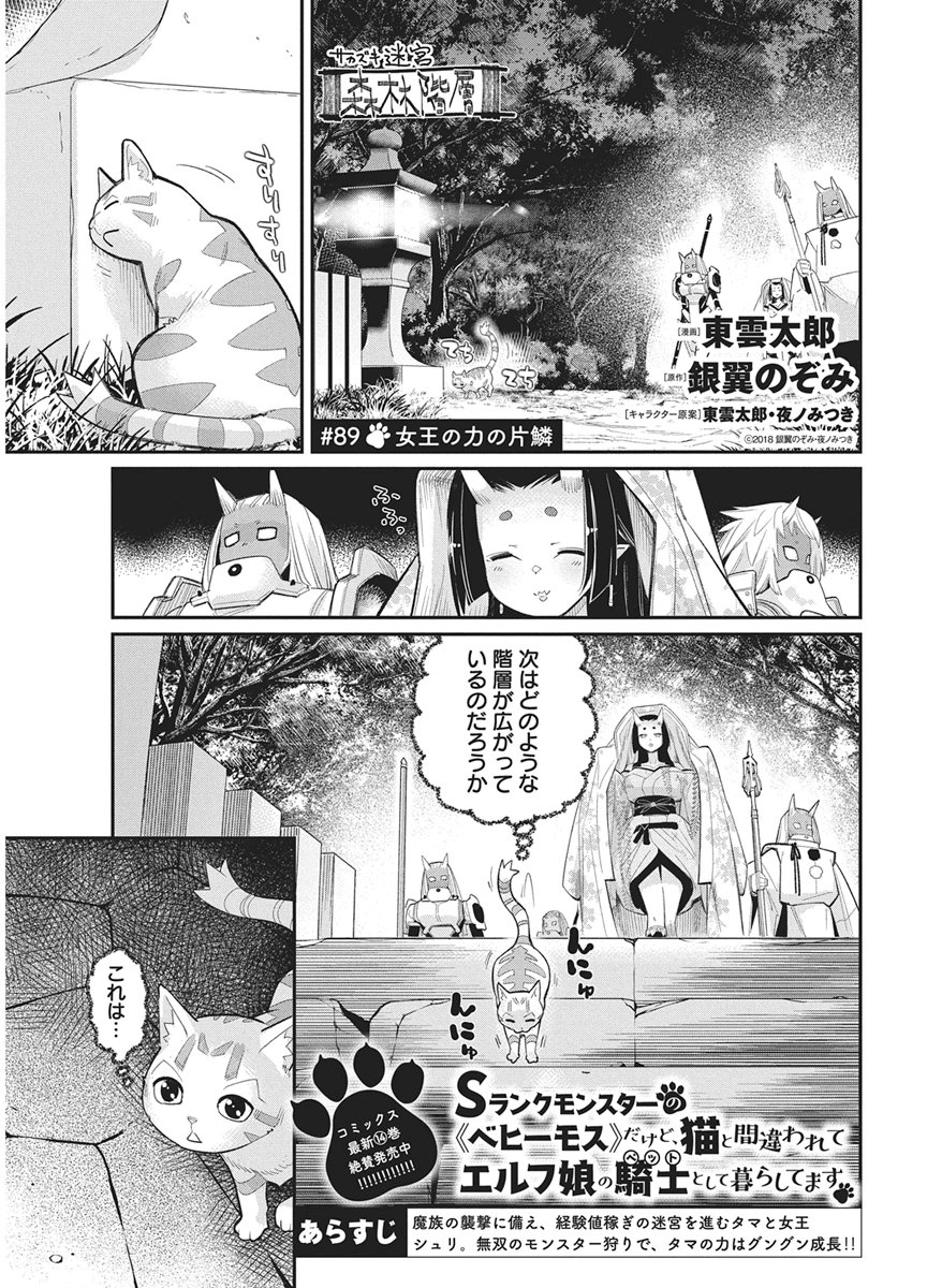 Sランクモンスターの《ベヒーモス》だけど Chap 89 - Next Chap 90