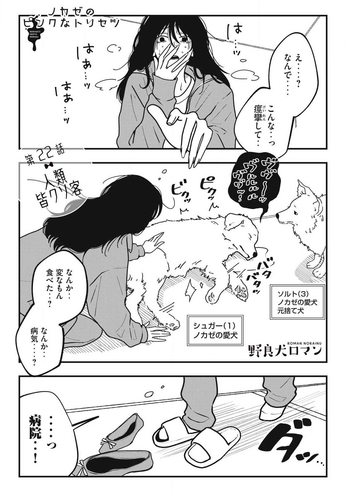 ノカゼのピンクなトリセツ Chap 22 - Next Chap 23