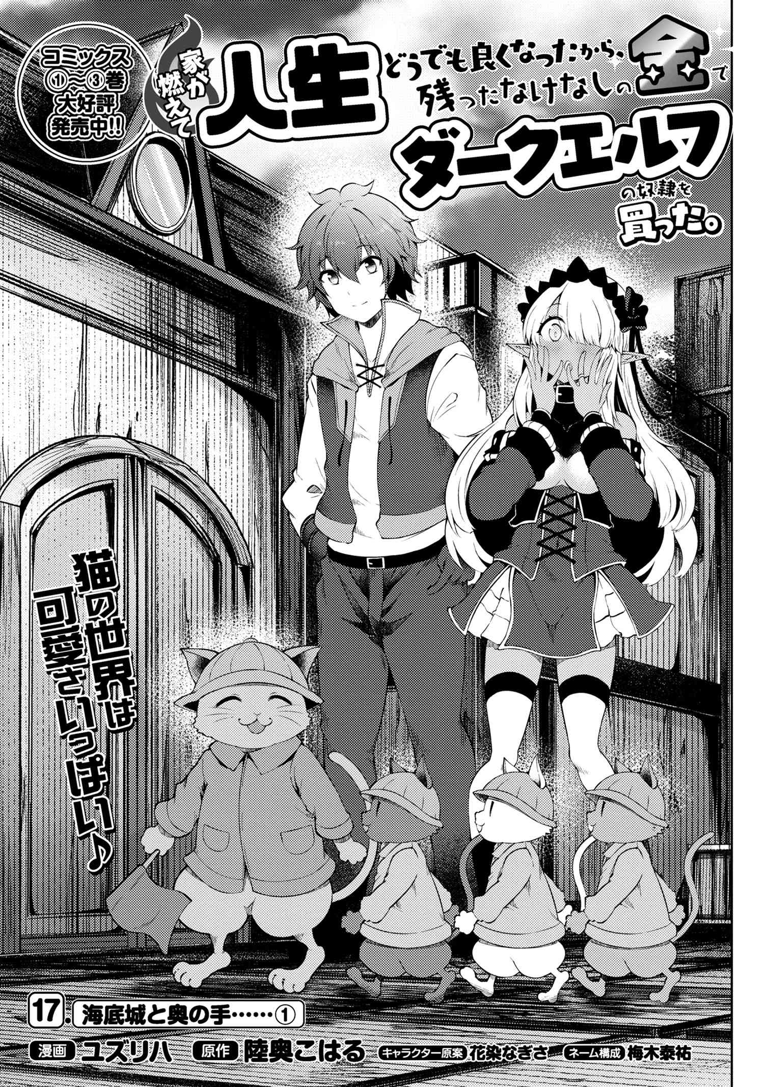 Ie ga Moete Jinsei Dou Demo Yoku Natta kara, Nokotta Nakenashi no Kin de Dark Elf no Dorei o Katta Chap 17.1 - Next Chap 18.1