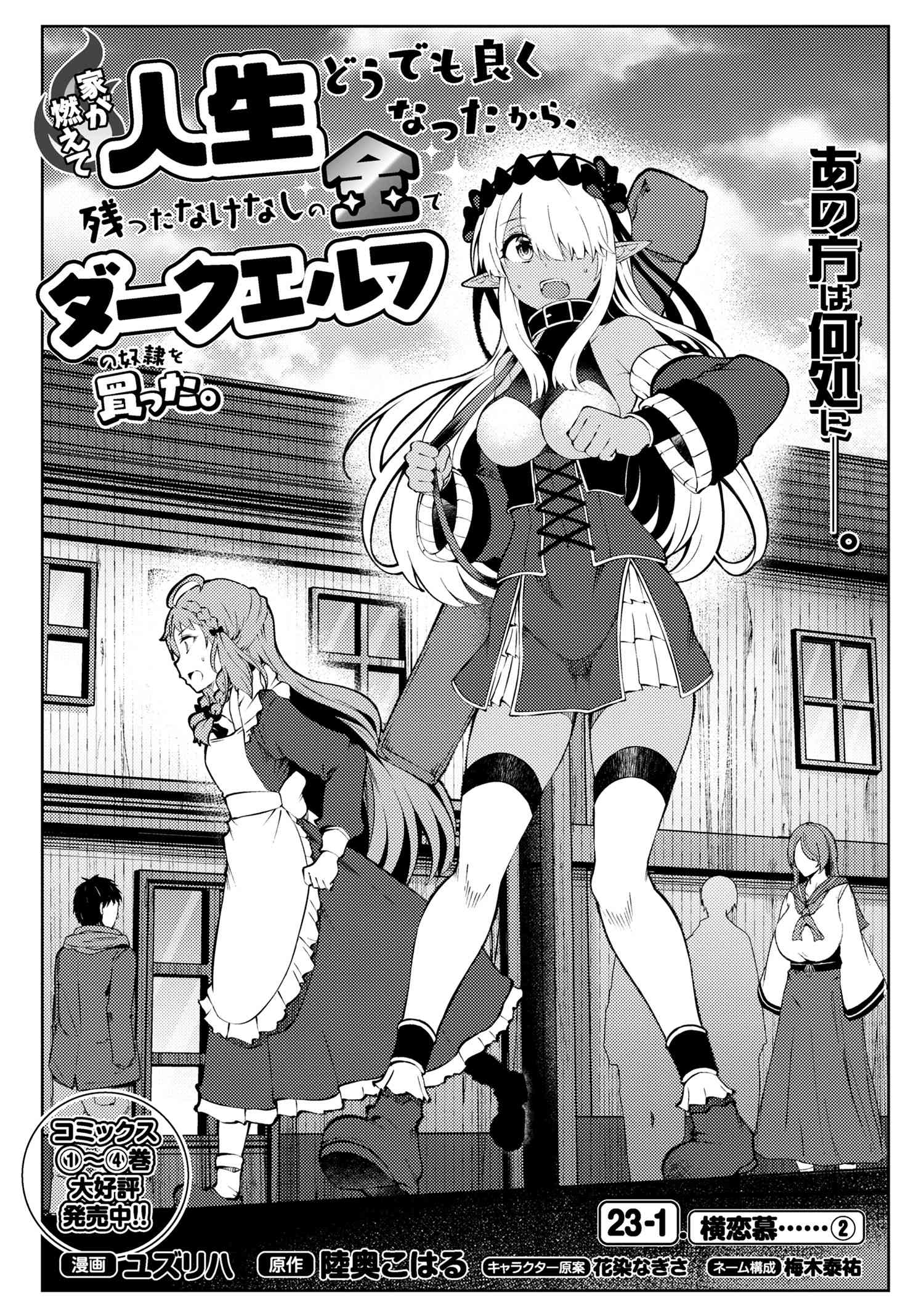 Ie ga Moete Jinsei Dou Demo Yoku Natta kara, Nokotta Nakenashi no Kin de Dark Elf no Dorei o Katta Chap 23.1 - Next Chap 24.1