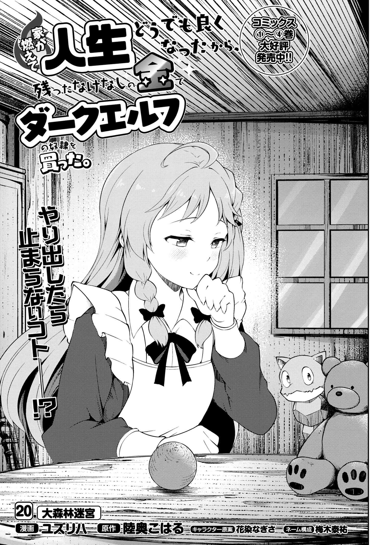 Ie ga Moete Jinsei Dou Demo Yoku Natta kara, Nokotta Nakenashi no Kin de Dark Elf no Dorei o Katta Chap 20.1 - Next Chap 21.1
