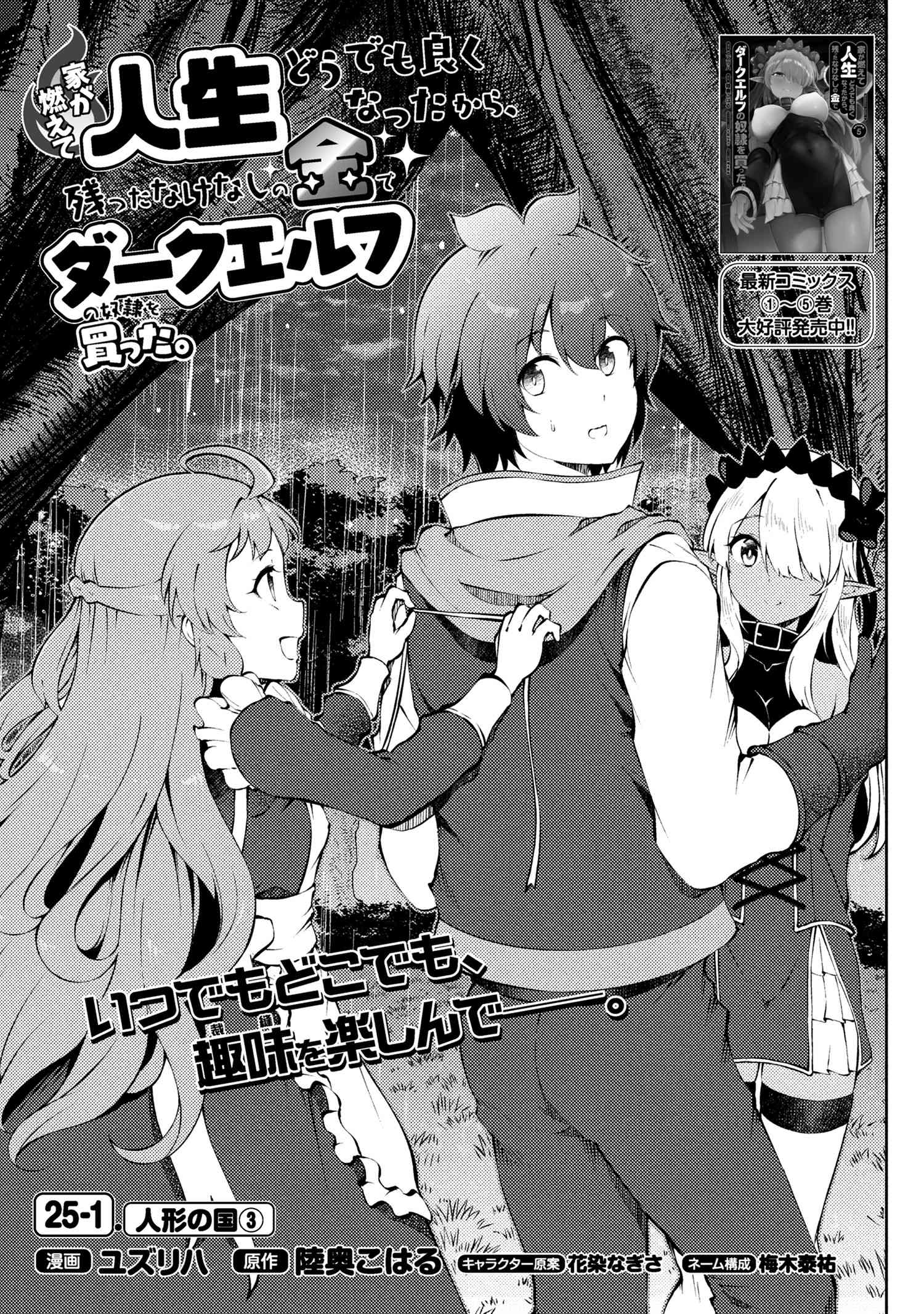 Ie ga Moete Jinsei Dou Demo Yoku Natta kara, Nokotta Nakenashi no Kin de Dark Elf no Dorei o Katta Chap 25.1 - Next Chap 26.1