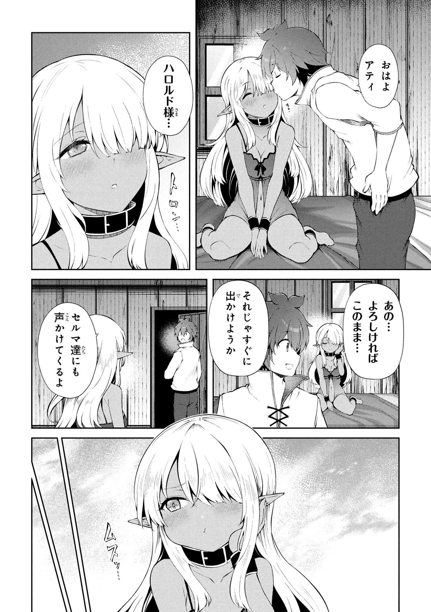 Ie ga Moete Jinsei Dou Demo Yoku Natta kara, Nokotta Nakenashi no Kin de Dark Elf no Dorei o Katta Chap 25.2 - Next Chap 26.2