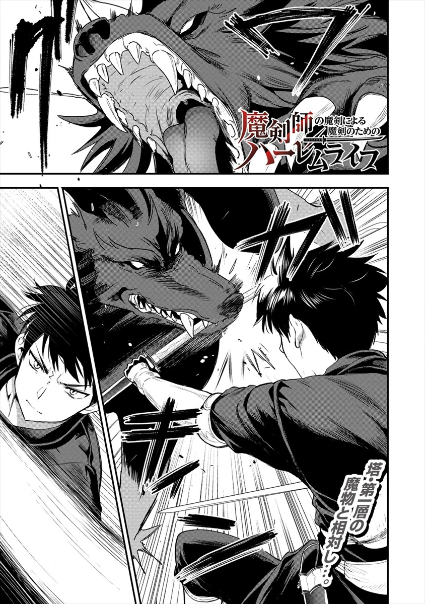 魔剣師の魔剣による魔剣のためのハーレムライフ Chap 10 - Next Chap 11