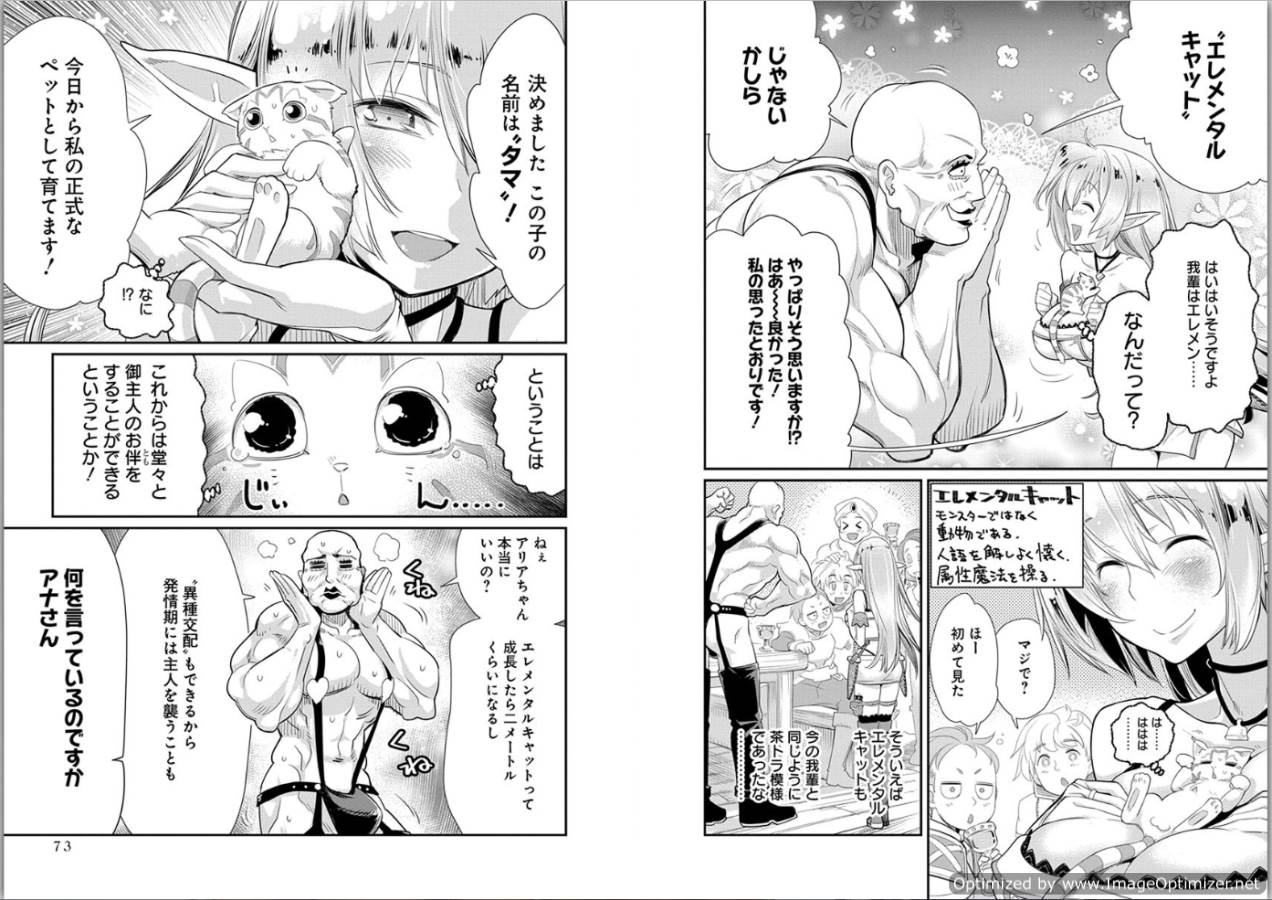 Sランクモンスターの《ベヒーモス》だけど Chap 3 - Next Chap 4