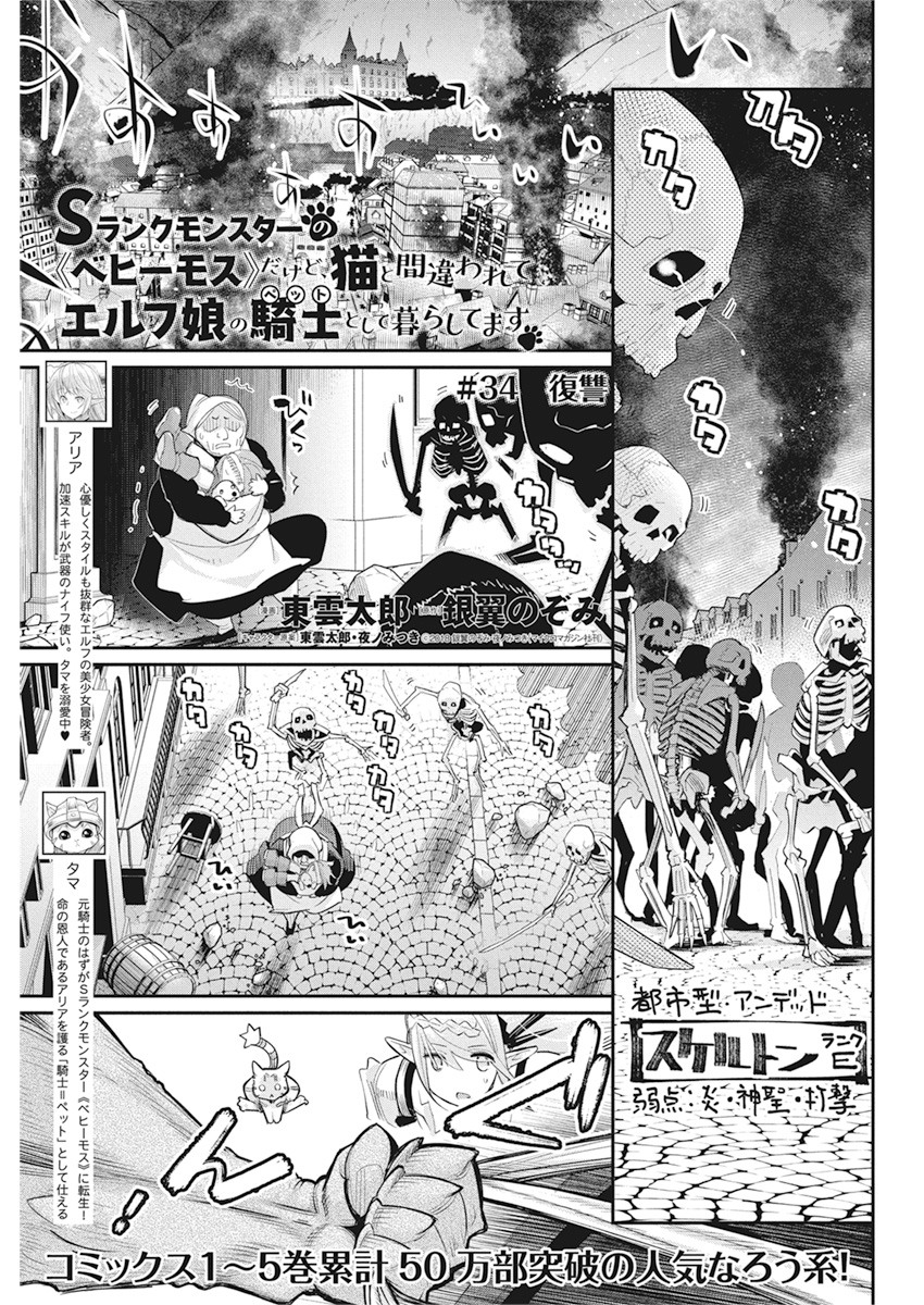 Sランクモンスターの《ベヒーモス》だけど Chap 34 - Next Chap 35