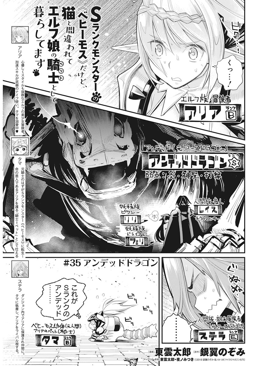 Sランクモンスターの《ベヒーモス》だけど Chap 35 - Next Chap 36