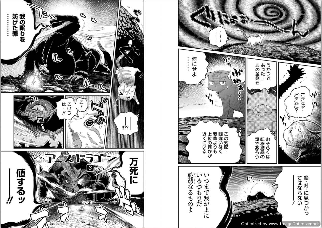 Sランクモンスターの《ベヒーモス》だけど Chap 1 - Next Chap 2