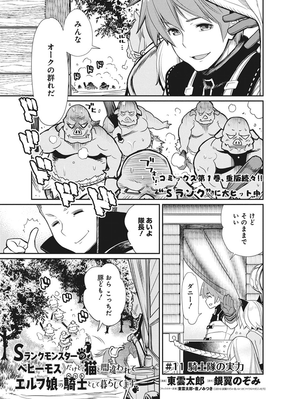 Sランクモンスターの《ベヒーモス》だけど Chap 11 - Next Chap 12