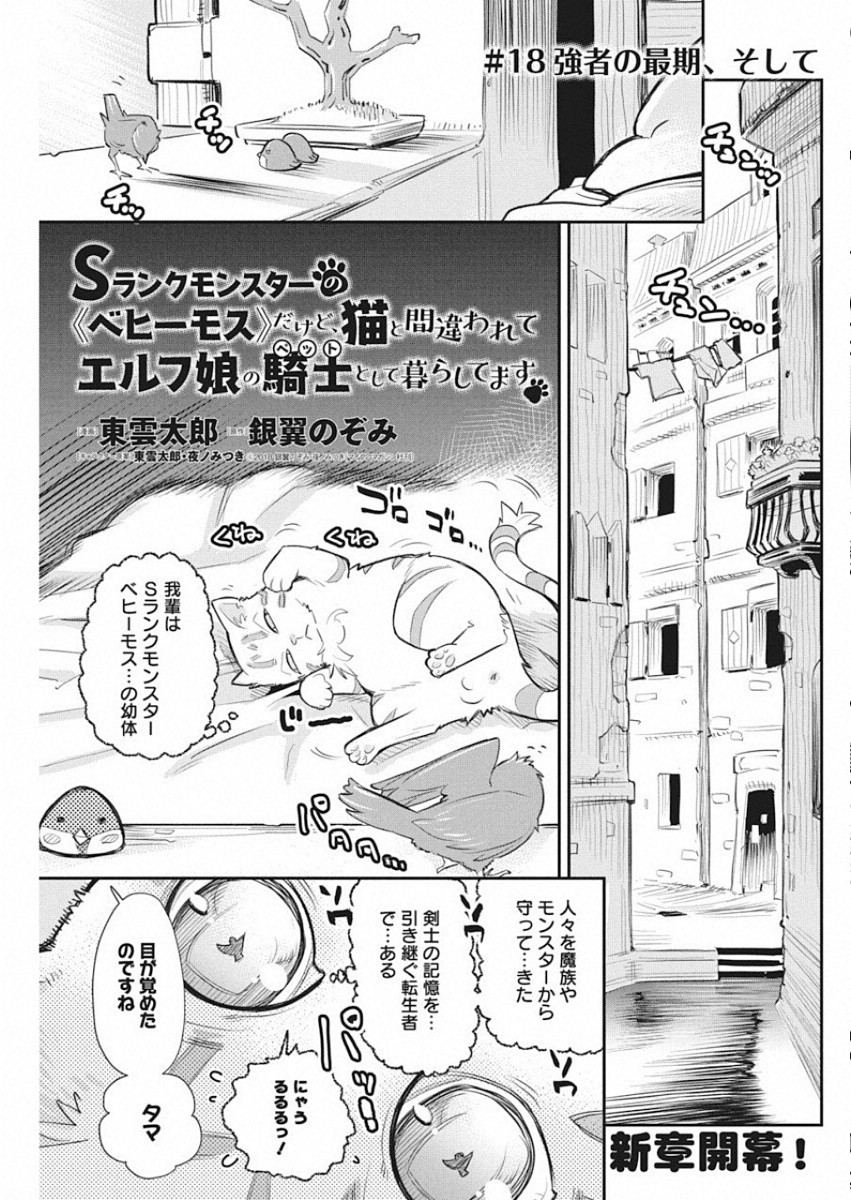 Sランクモンスターの《ベヒーモス》だけど Chap 18 - Next Chap 19