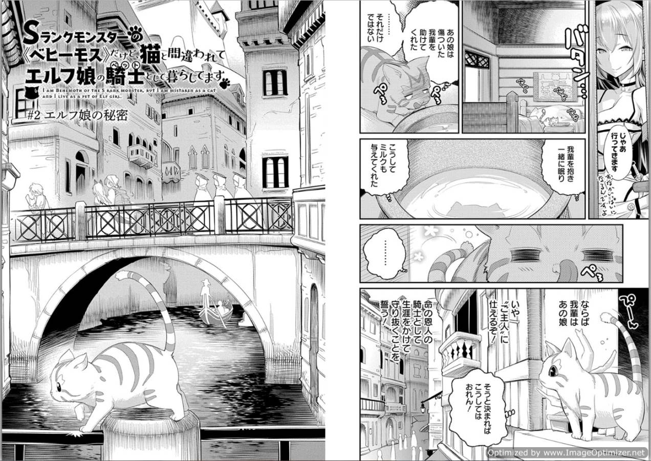 Sランクモンスターの《ベヒーモス》だけど Chap 2 - Next Chap 3