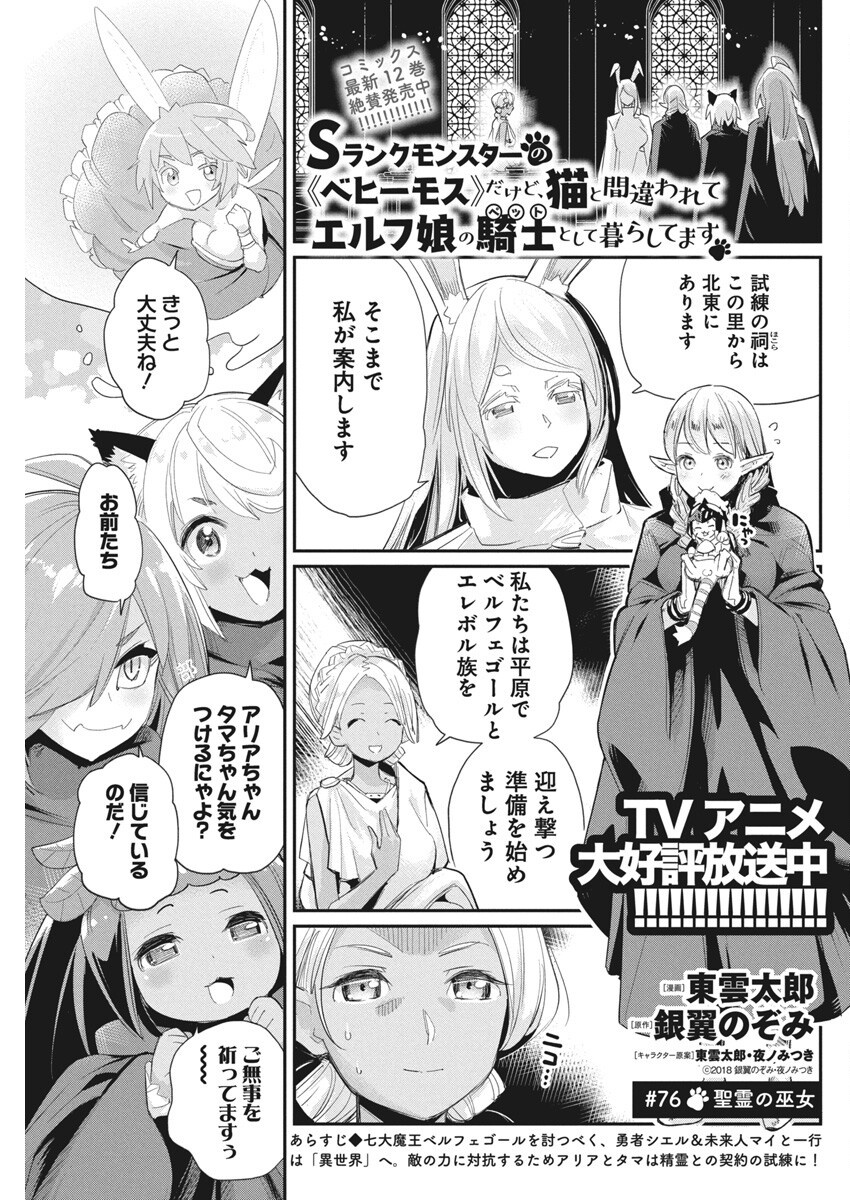 Sランクモンスターの《ベヒーモス》だけど Chap 76 - Next Chap 77