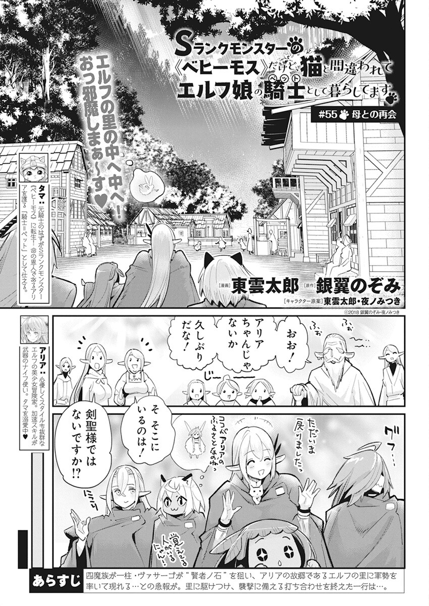 Sランクモンスターの《ベヒーモス》だけど Chap 55 - Next Chap 56