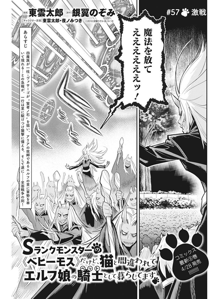 Sランクモンスターの《ベヒーモス》だけど Chap 57 - Next Chap 58