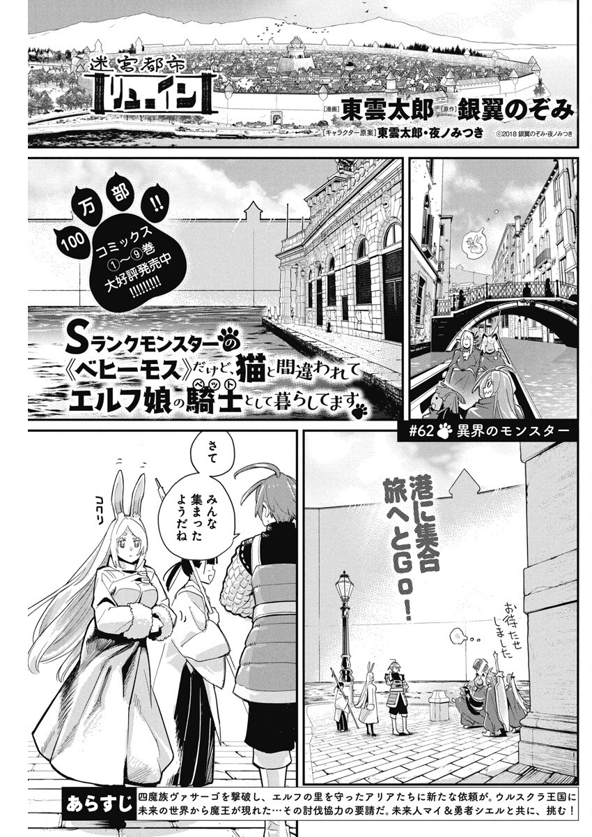 Sランクモンスターの《ベヒーモス》だけど Chap 62 - Next Chap 63