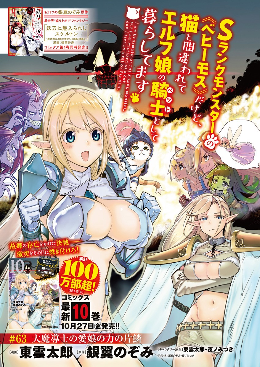 Sランクモンスターの《ベヒーモス》だけど Chap 63 - Next Chap 64