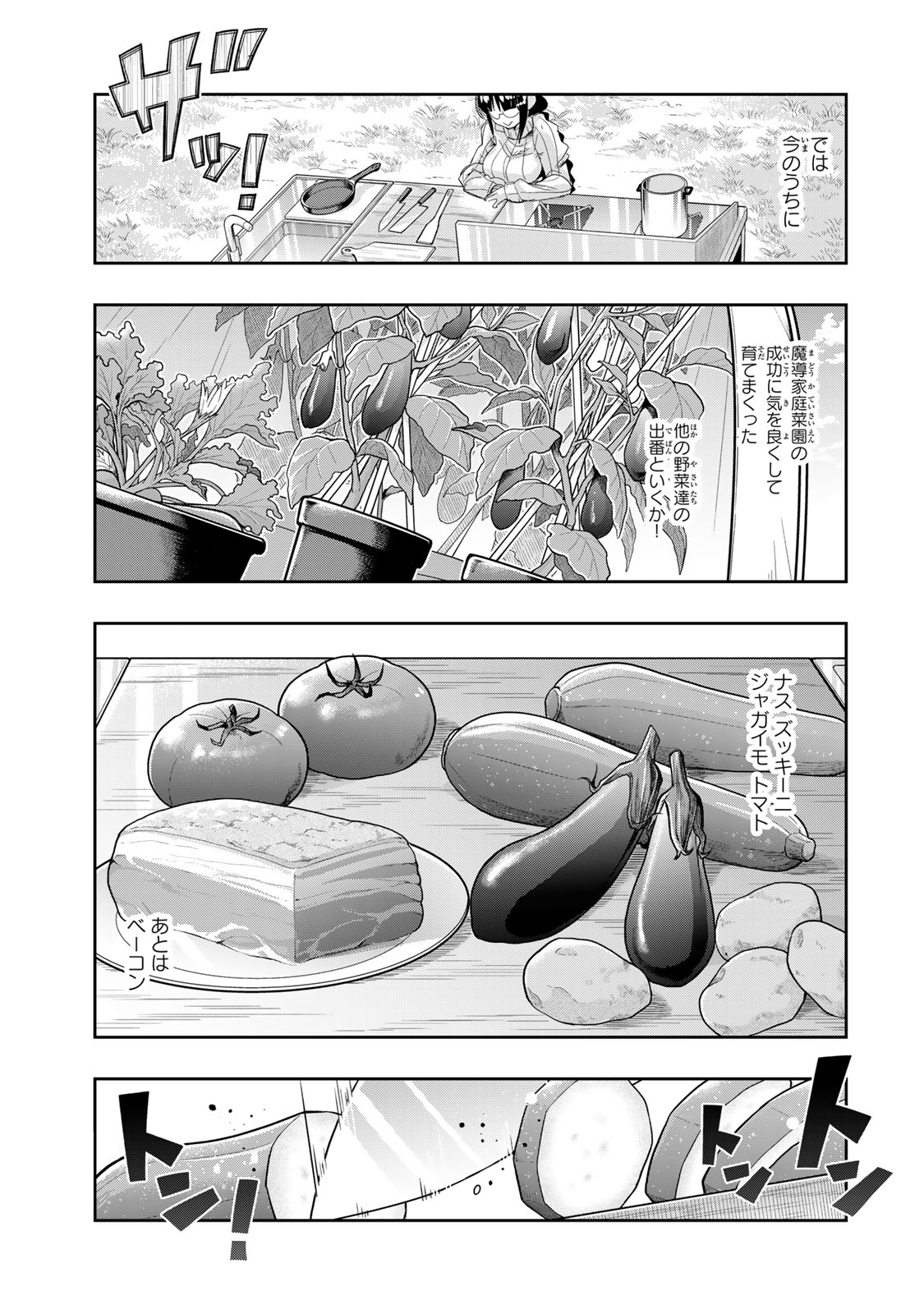 よくわからないけれど異世界に転生していたようです, 稀里糊涂异世重生 Chap 123.5 - Next Chap 124.5