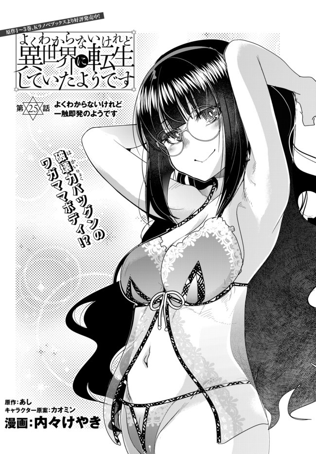 よくわからないけれど異世界に転生していたようです, 稀里糊涂异世重生 Chap 25 - Next Chap 26