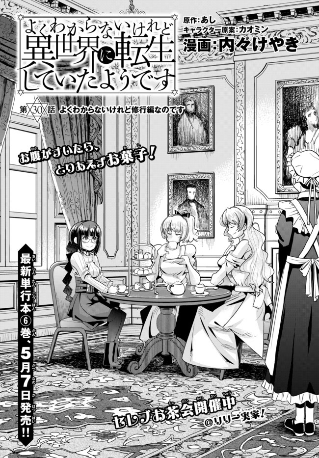 よくわからないけれど異世界に転生していたようです, 稀里糊涂异世重生 Chap 30.1 - Next Chap 31.1
