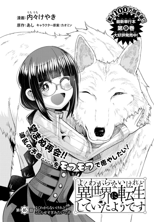 よくわからないけれど異世界に転生していたようです, 稀里糊涂异世重生 Chap 46.1 - Next Chap 47.1