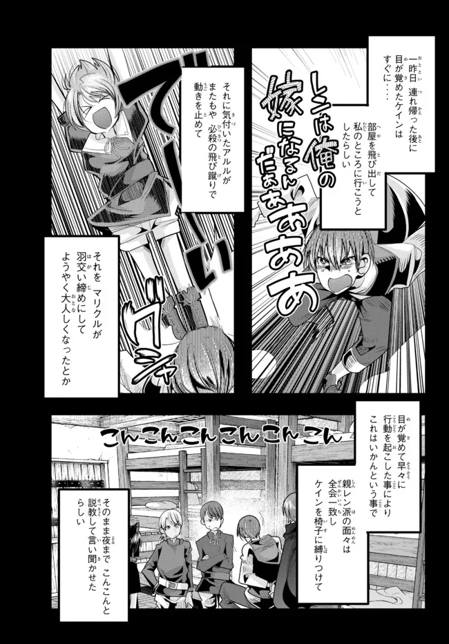 よくわからないけれど異世界に転生していたようです, 稀里糊涂异世重生 Chap 46.2 - Next Chap 47.2