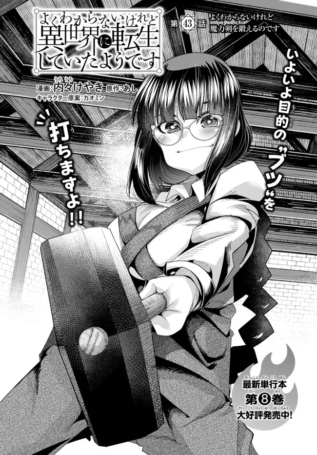 よくわからないけれど異世界に転生していたようです, 稀里糊涂异世重生 Chap 43.1 - Next Chap 44.1