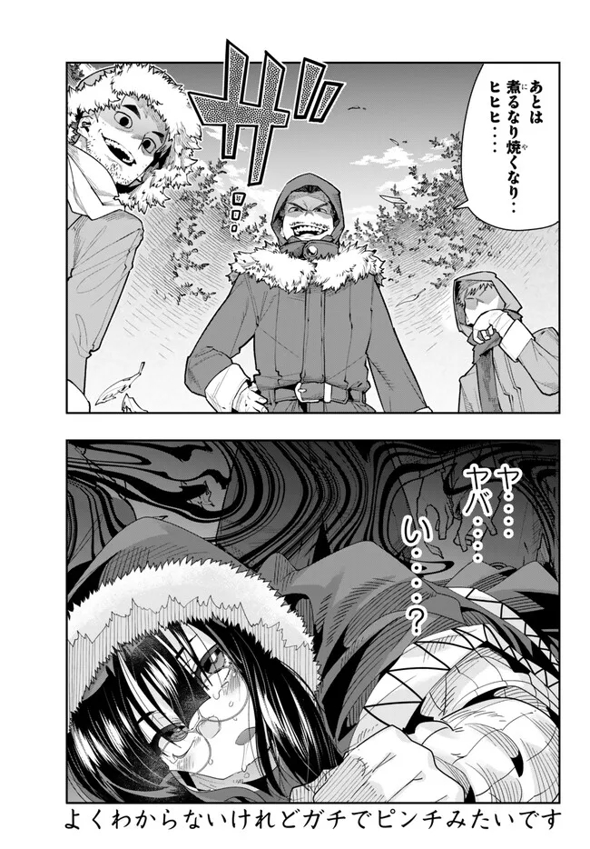 よくわからないけれど異世界に転生していたようです, 稀里糊涂异世重生 Chap 86.2 - Next Chap 87.2