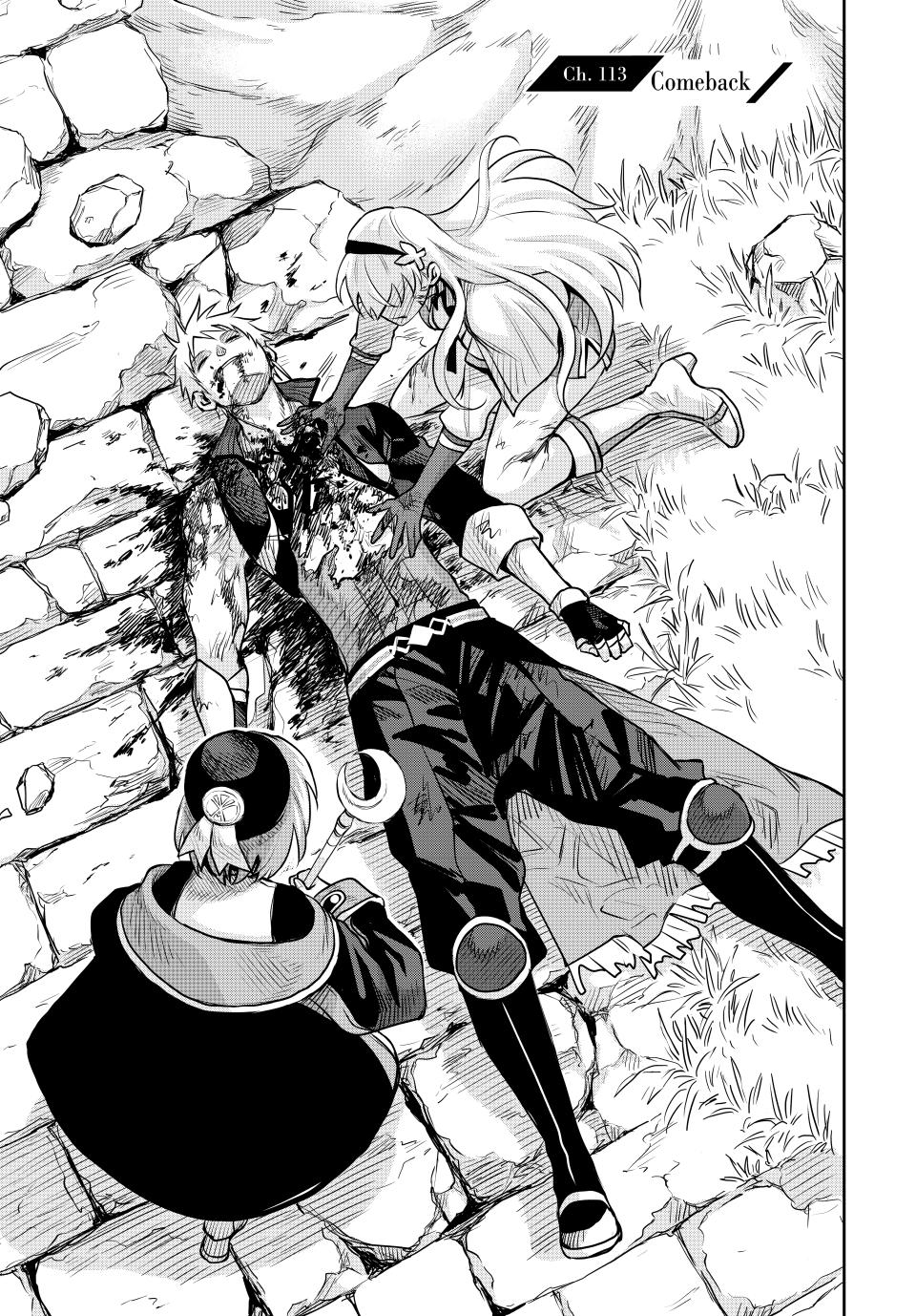 Mikata ga Yowasugite Hojo Mahou ni Tesshiteita Kyuutei Mahoushi, Tsuihou sarete Saikyou wo Mezashimasu Chap 113 - Next Chap 114
