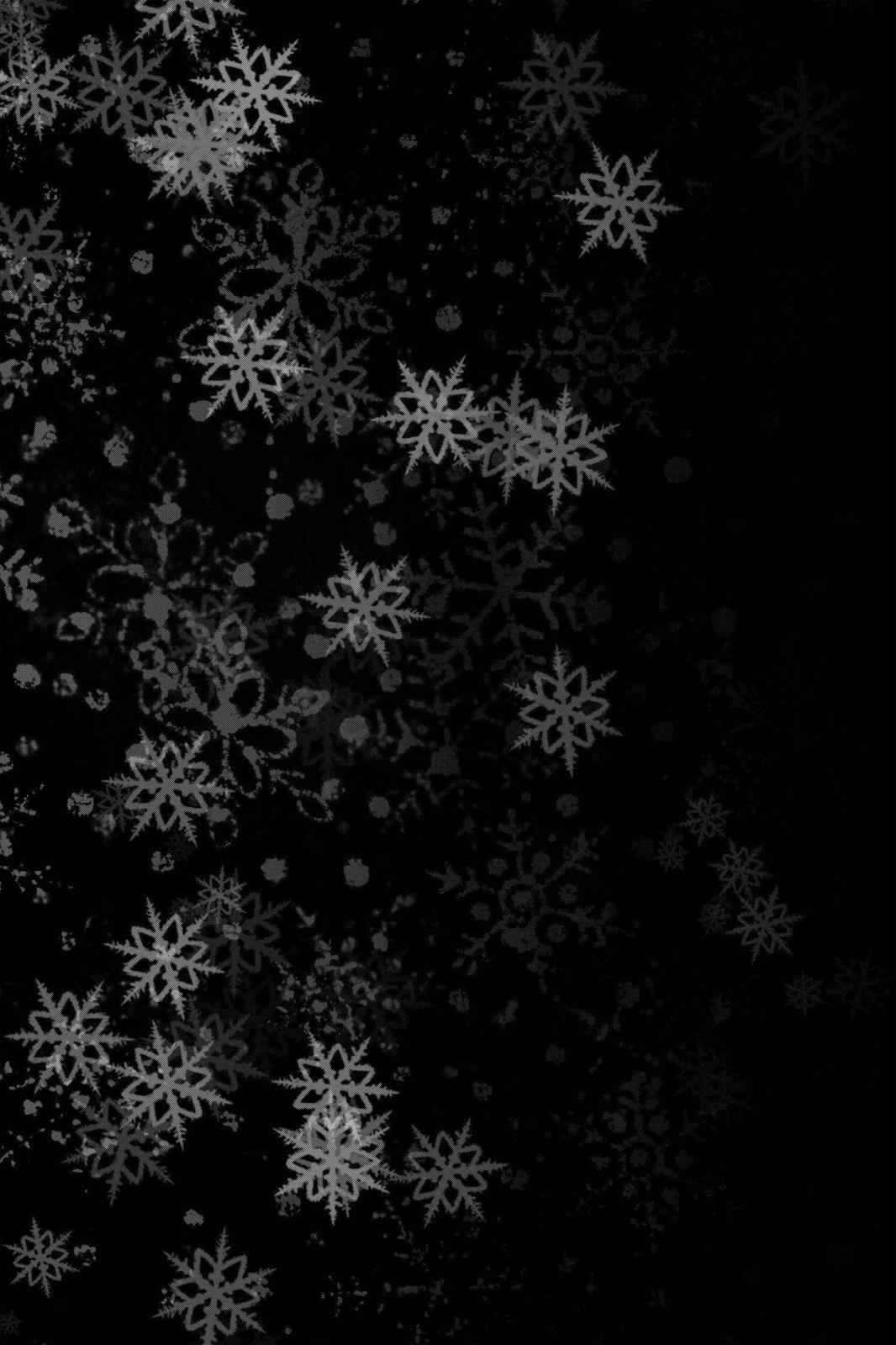 Rosario + Vampire Season II Chap 12 - Next Chap 13