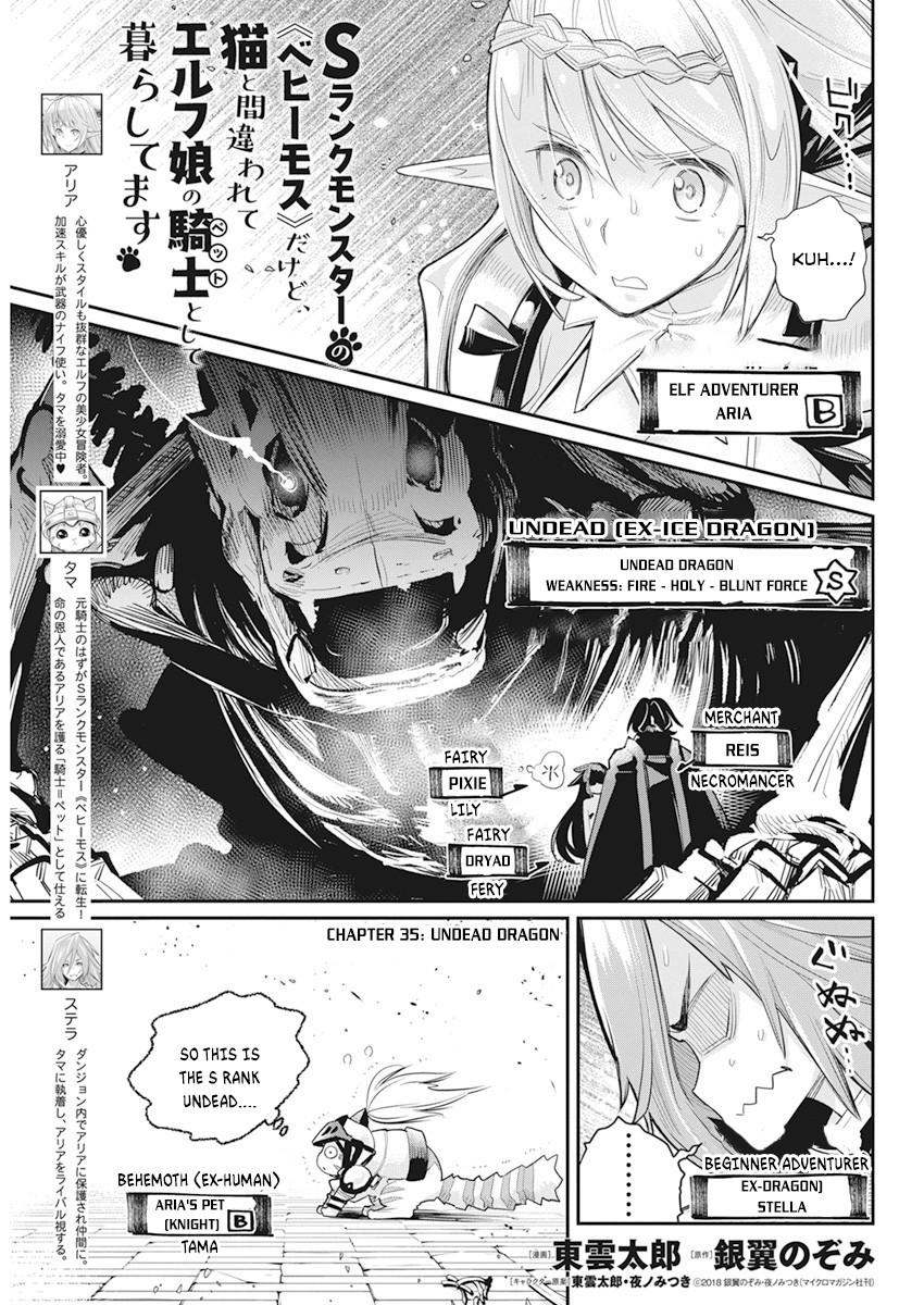 S-Rank Monster no Behemoth Dakedo Chap 35 - Next Chap 36
