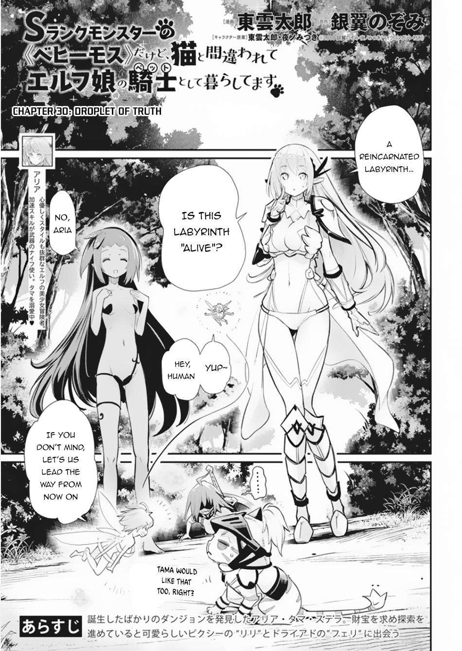 S-Rank Monster no Behemoth Dakedo Chap 30 - Next Chap 31