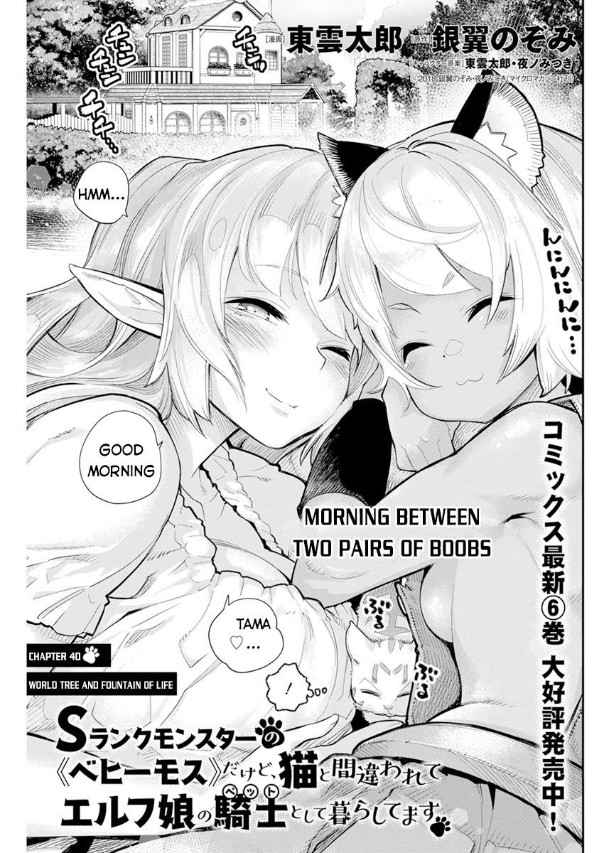 S-Rank Monster no Behemoth Dakedo Chap 40 - Next Chap 41